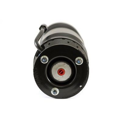 Arnott Federbein hinten links, 02-05 Mercedes Benz S-Klasse AMG (W220), 02-06 CL AMG (C215)