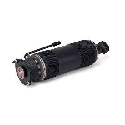 Arnott Federbein hinten links, 07-12 Mercedes Benz SL AMG (R230)