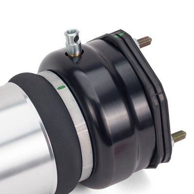 Arnott Luftfederbein vorne, 00-06 Lexus LS430 (UCF30)