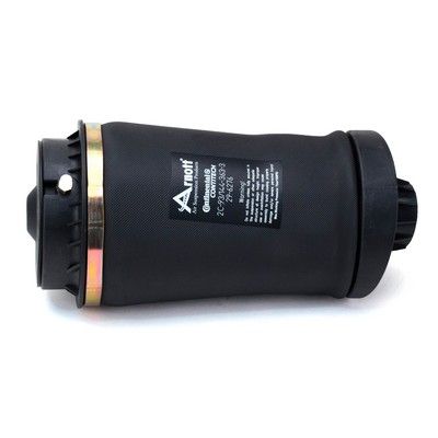Arnott Luftfeder hinten - 05-14 Mercedes-Benz R-Klasse (W251) mit Airmatic