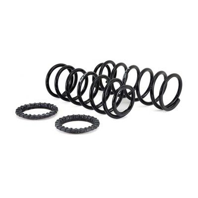 Arnott Umrüstsatz für Schraubenfeder hinten,  01-09 Lexus GX 470 (J120)/02-10 Toyota Land Cr. Prado (J120)