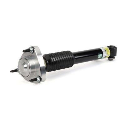 Arnott Stoßdämpfer hinten links, 06-13 BMW X5 (E70), 07-14 X6 (E71), mit Standardfahrwerk ohne elektr. Dämpferregulierung