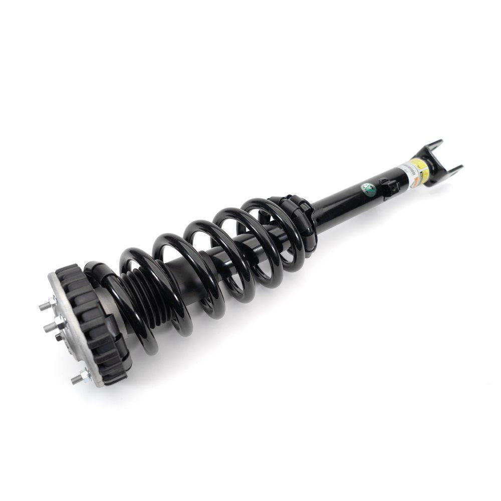 Arnott Schraubenfeder-Umrüstsatz, 10-16 Hyundai Equus (VI)