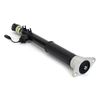 Arnott Stoßdämpfer hinten links, 04-11 Audi A6/S6 (C6) mit Luftfederung