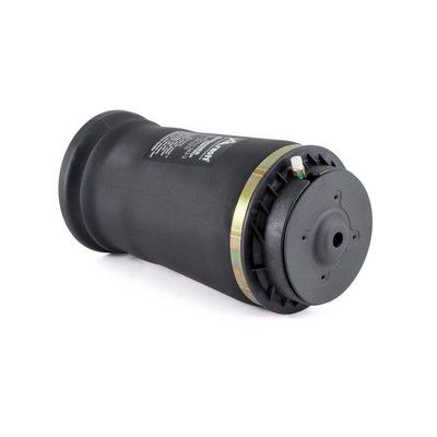 Arnott Luftfeder hinten - 06-15 Mercedes-Benz GL(X164/166), 05-15 ML(W164/166), 15-19 GLE/S(W164/166)