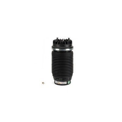Arnott Luftfeder hinten - 13-18 RAM 1500 (DS)