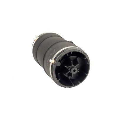 Arnott Luftfeder hinten, 13-22 Land Rover Range Rover Sport (L494)